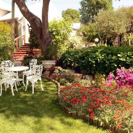 Van Dykshuis Guest House Heidelberg  Exterior foto